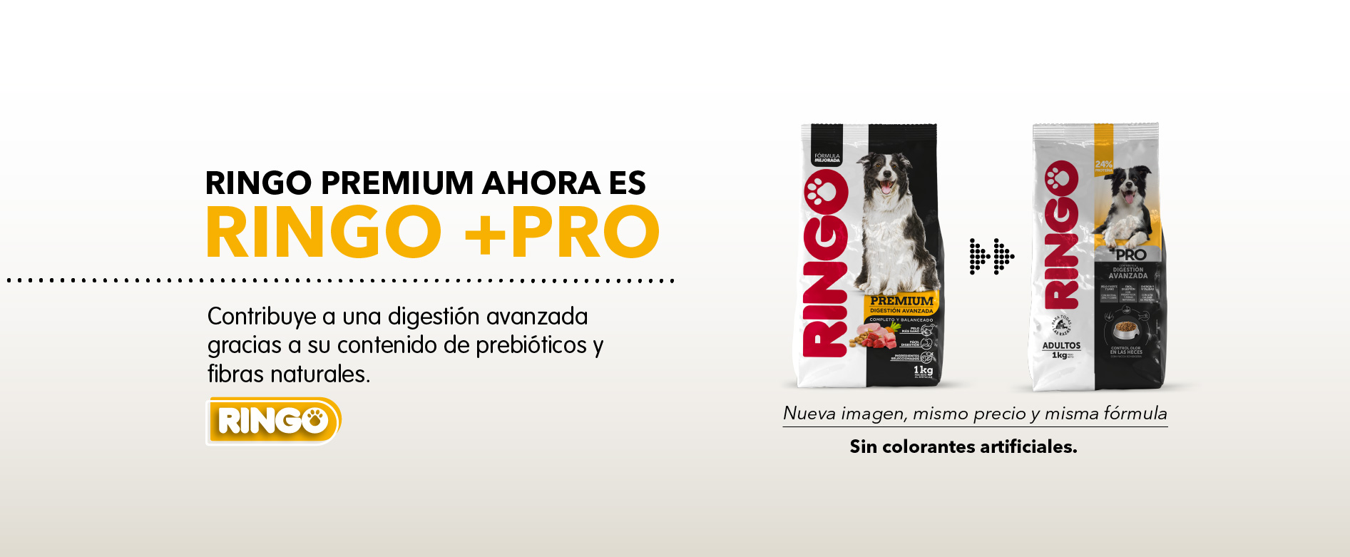 Ringo + Pro adultos